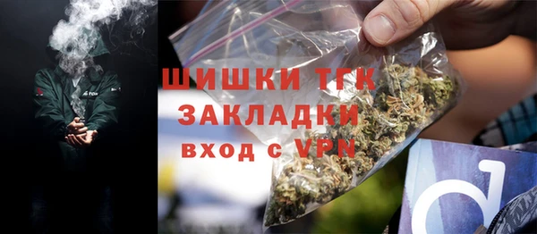 крисы Вязьма