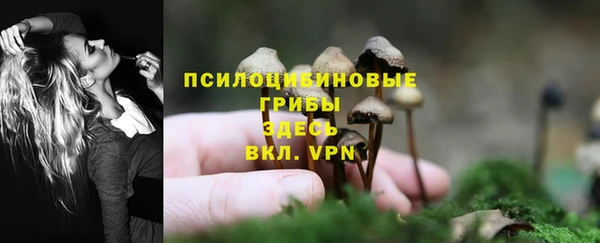 марки lsd Вяземский