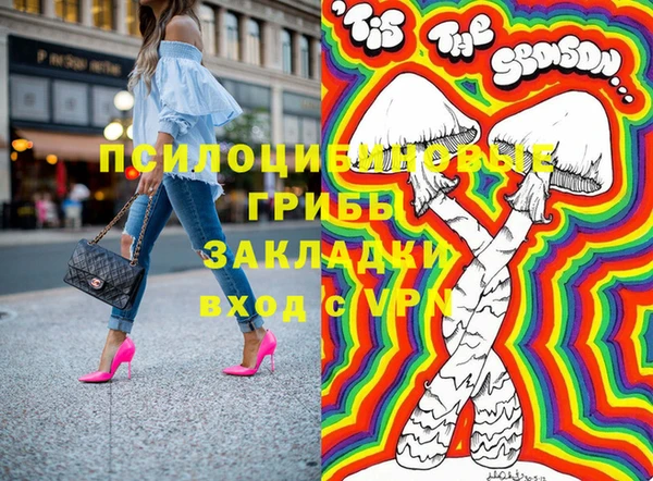 крисы Вязьма