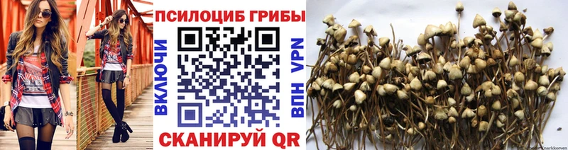 Галлюциногенные грибы Cubensis Болхов
