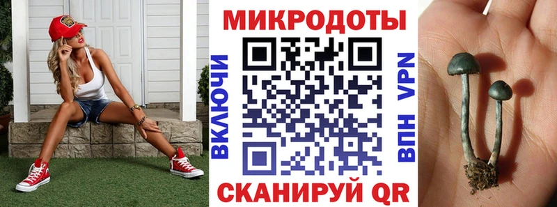 Купить закладки  Болхов  Галлюциногенные грибы Magic Shrooms 
